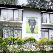 Homestay Gridarsahini, Gokarna 1